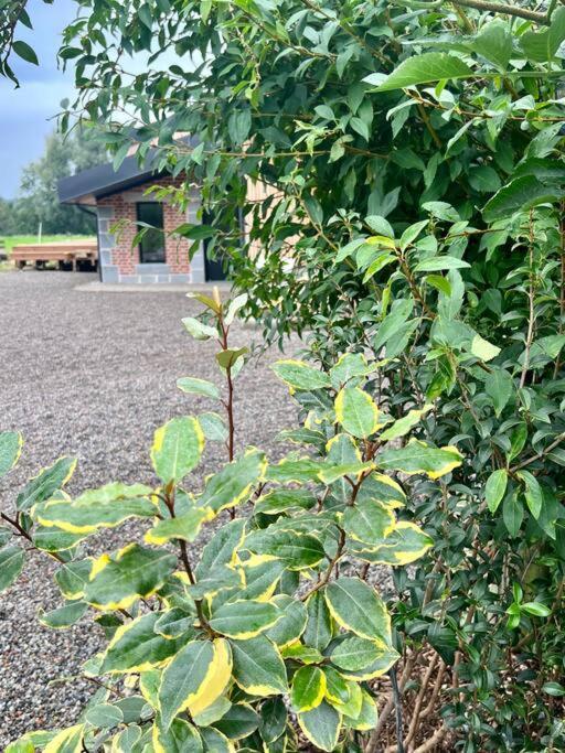 Maison De Charme Pleine Nature Pour Couple